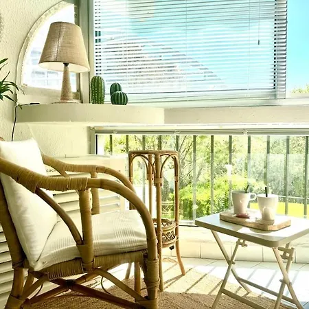 The Palm 100m De La Parking Clim Wifi Apartment *